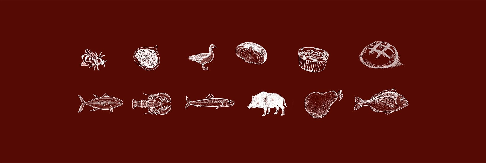illustrations