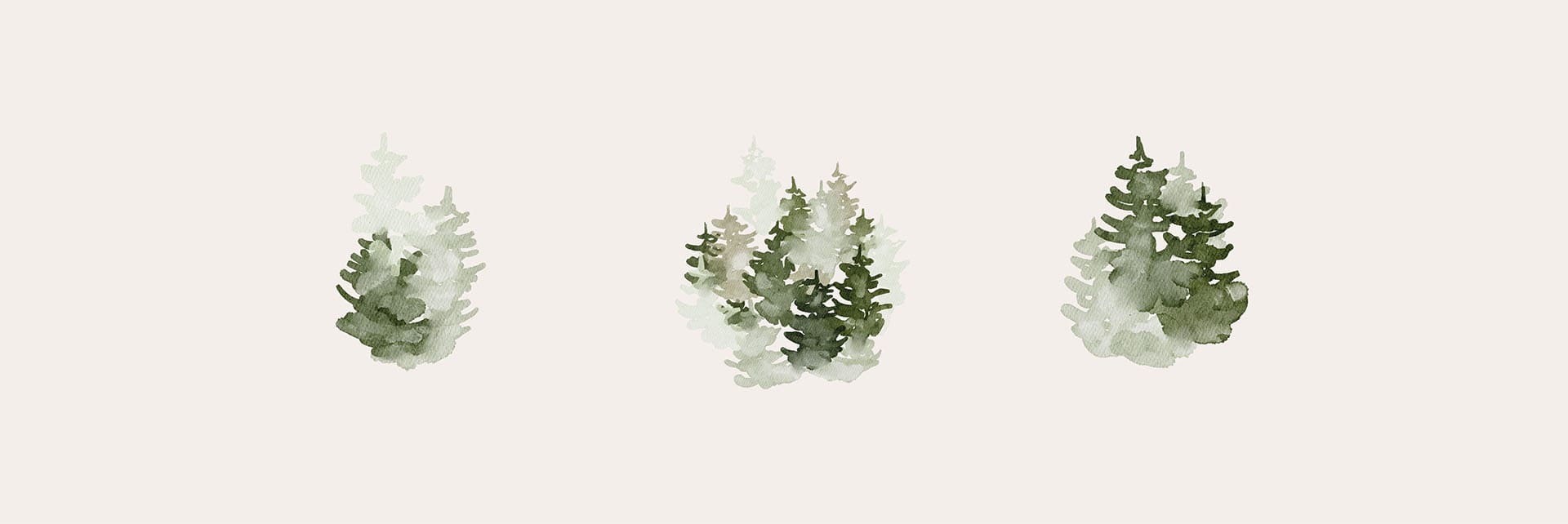 sapins