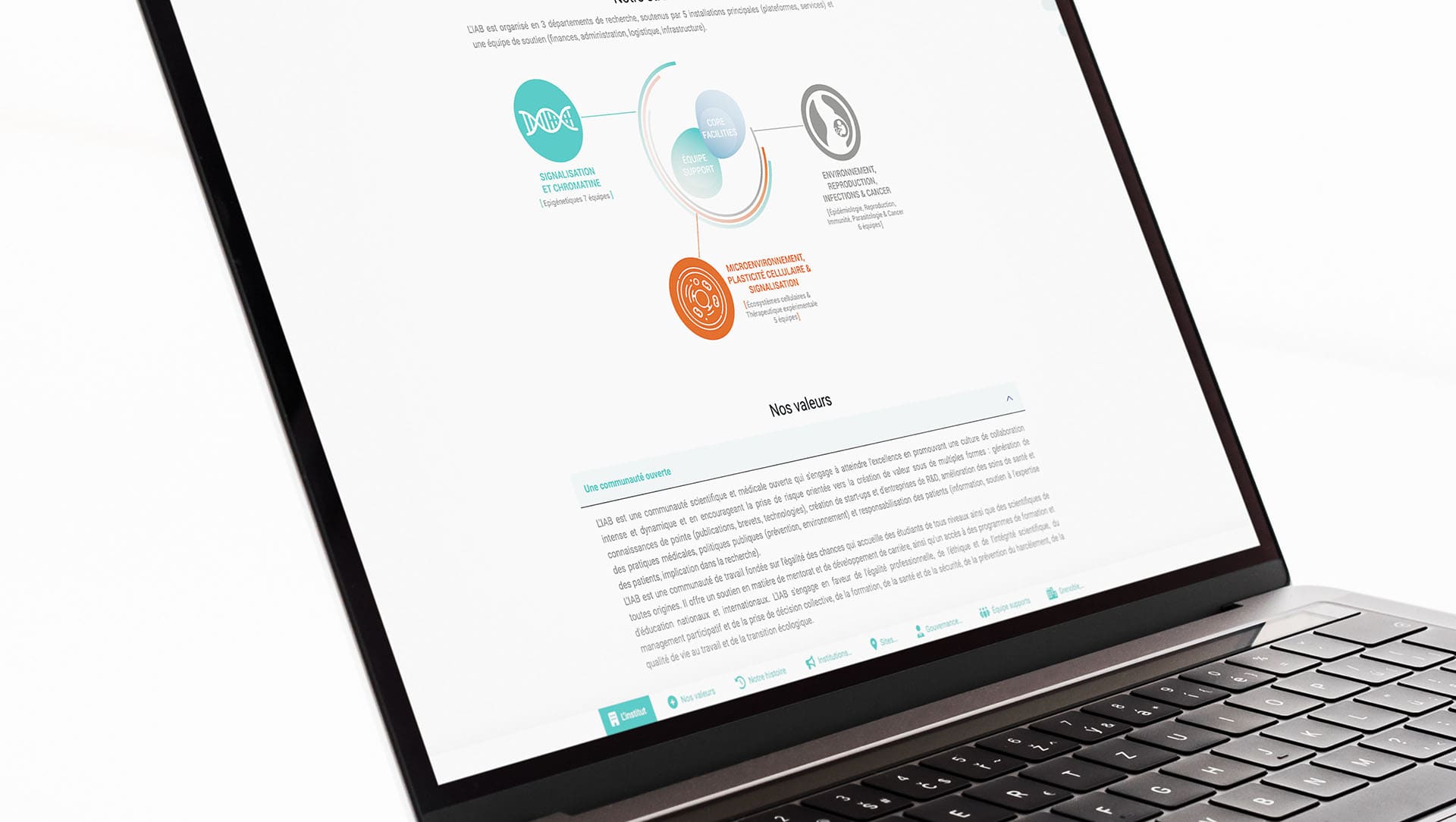 Image du projet IAB site web