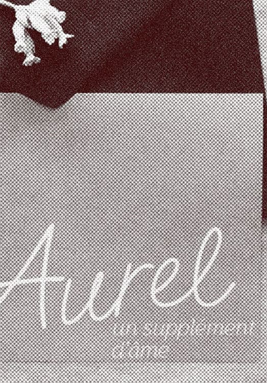 1-AUREL-IDV.jpg