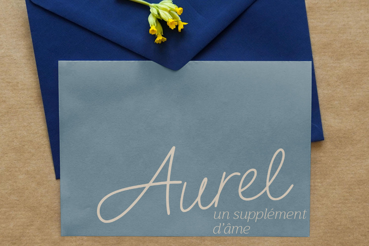 Image du projet Aurel