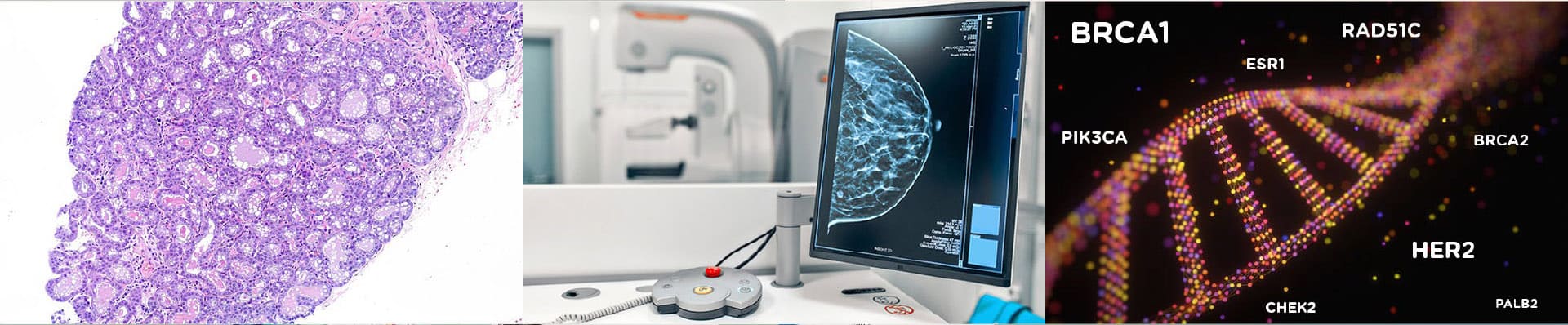 Recherches photographiques